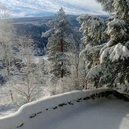 Aparthotel Limba Max Heinzelstein Baude