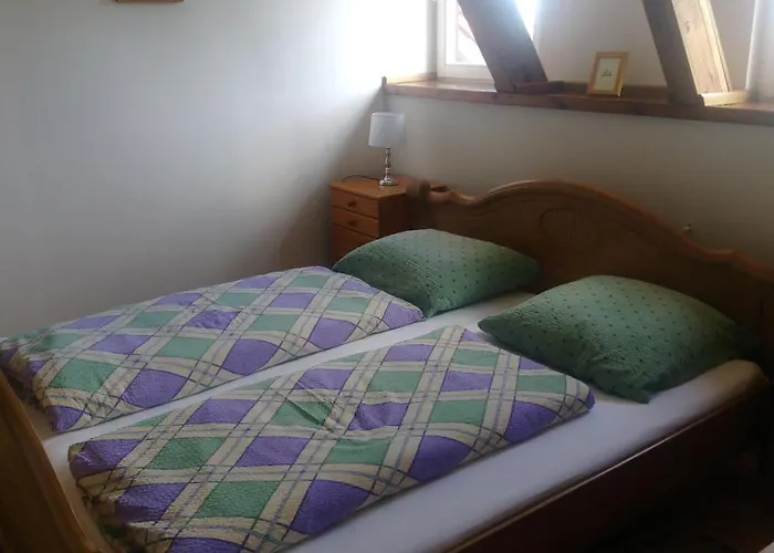 Limba Max Heinzelstein Baude Borowice