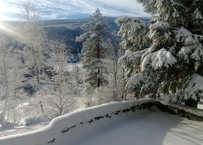 Aparthotel Limba Max Heinzelstein Baude