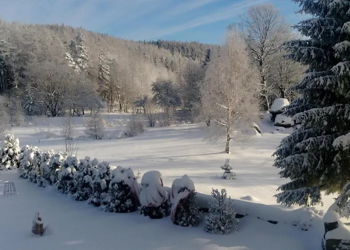 Limba Max Heinzelstein Baude Aparthotel Borowice